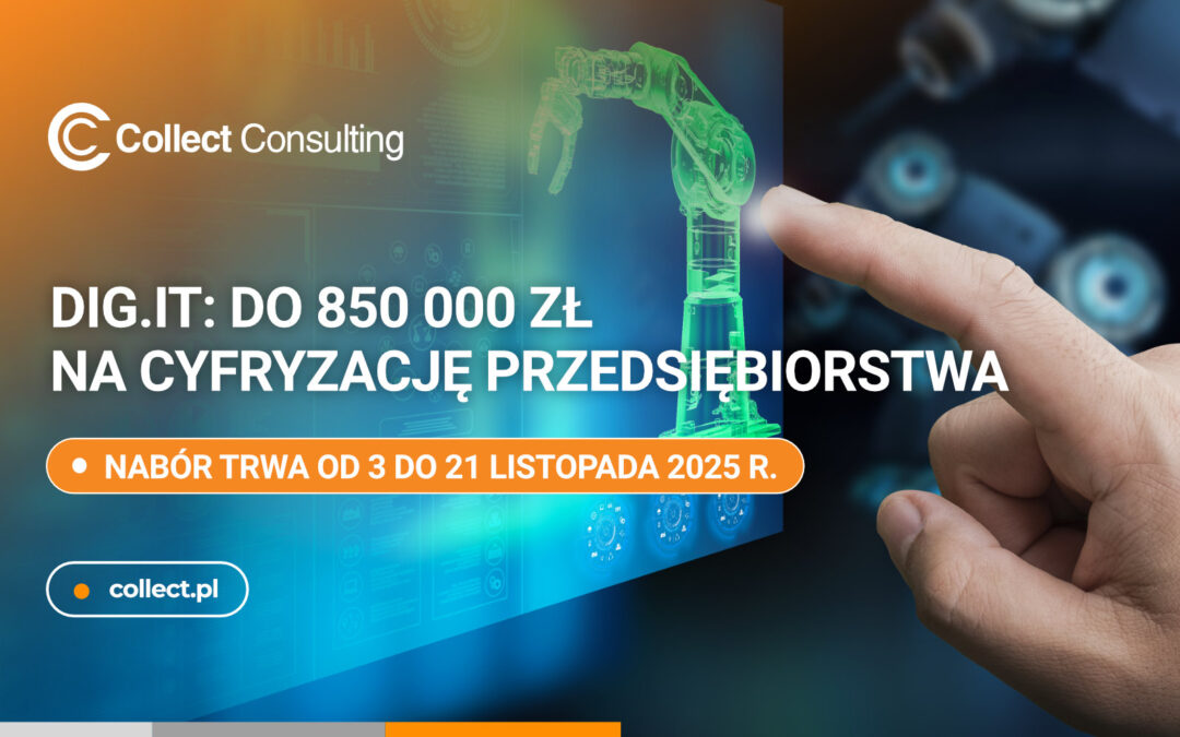 Ruszył nabór wniosków w programie „Dig.IT – Transformacja Cyfrowa”