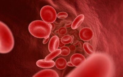 🩸Regionalne Centra Krwiodawstwa i Krwiolecznictwa z przyznanym dofinansowaniem! 💉🩸