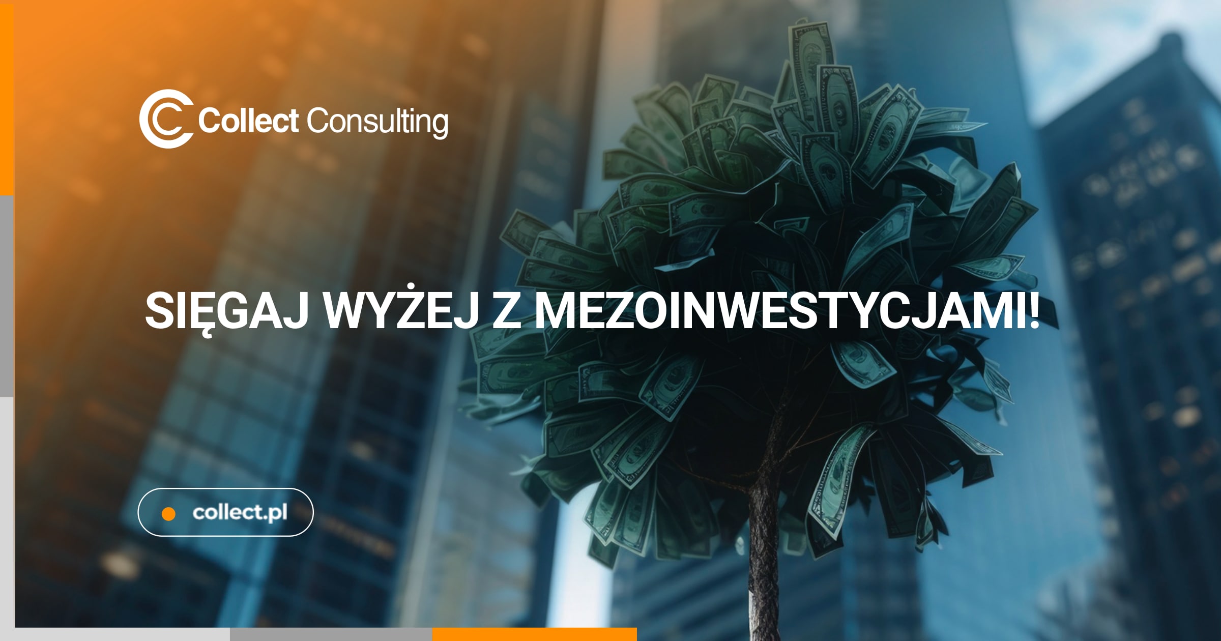 Mezoinwestycje