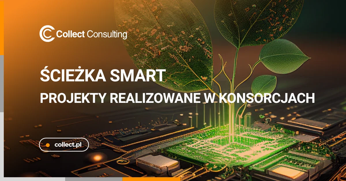 Ścieżki SMART - Projekty realizowane w konsorcjach